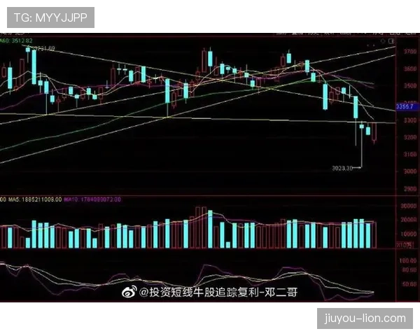 J组最终排名预测